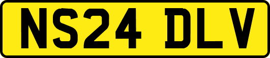 NS24DLV
