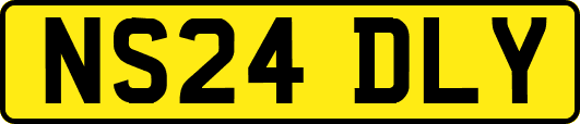 NS24DLY