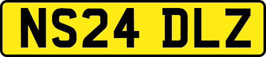 NS24DLZ