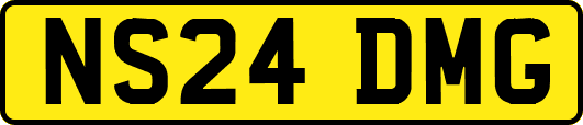 NS24DMG