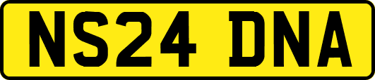 NS24DNA