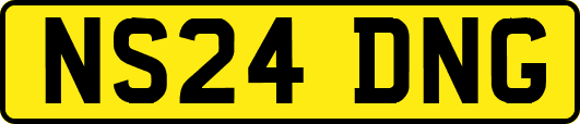 NS24DNG