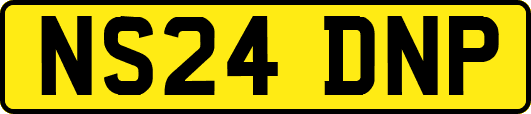 NS24DNP