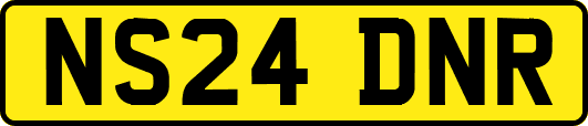 NS24DNR