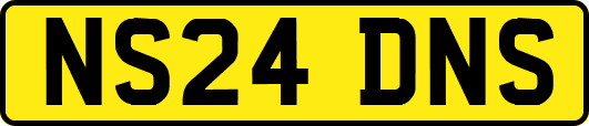 NS24DNS