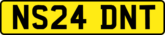 NS24DNT