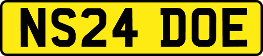 NS24DOE