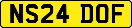 NS24DOF