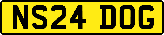NS24DOG