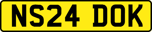 NS24DOK