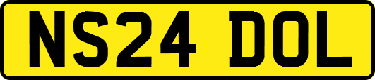 NS24DOL
