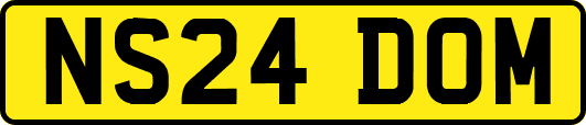 NS24DOM