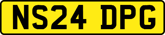 NS24DPG