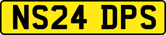 NS24DPS