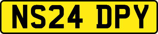 NS24DPY