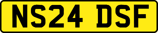 NS24DSF