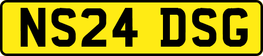 NS24DSG