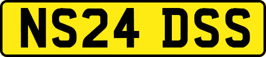 NS24DSS