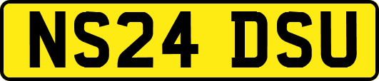 NS24DSU
