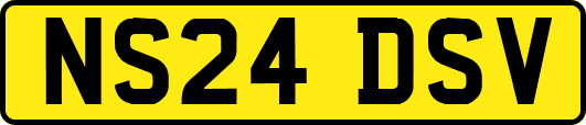 NS24DSV