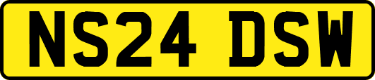 NS24DSW