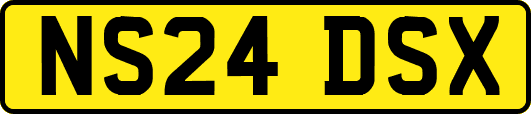 NS24DSX