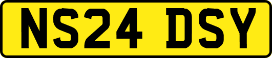 NS24DSY