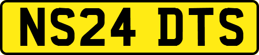 NS24DTS