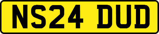 NS24DUD