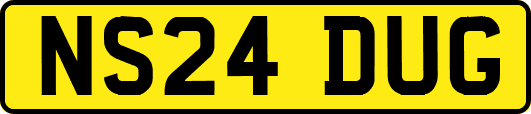 NS24DUG