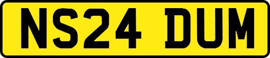 NS24DUM