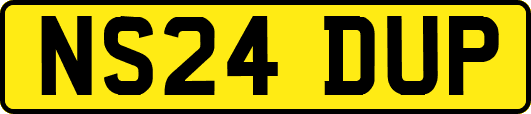 NS24DUP