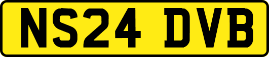 NS24DVB