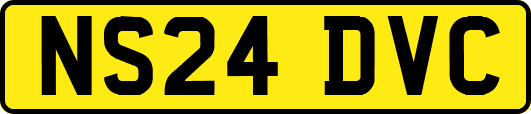 NS24DVC