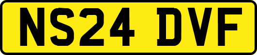 NS24DVF