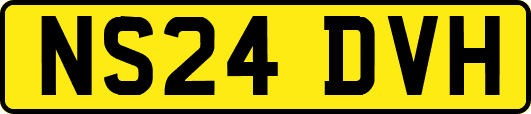 NS24DVH