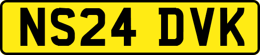 NS24DVK