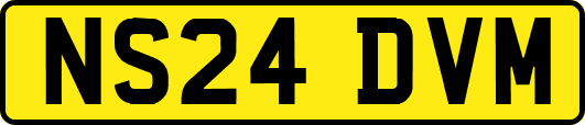 NS24DVM