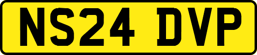 NS24DVP
