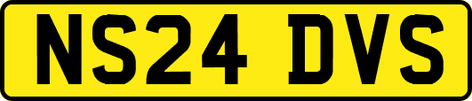 NS24DVS