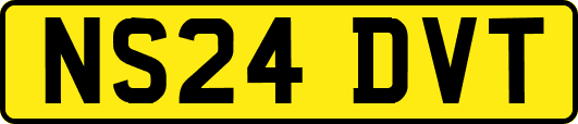NS24DVT