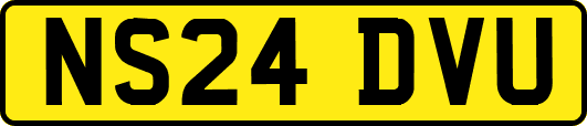 NS24DVU