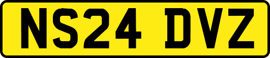 NS24DVZ