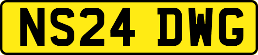 NS24DWG