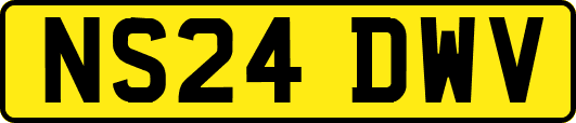NS24DWV
