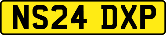 NS24DXP