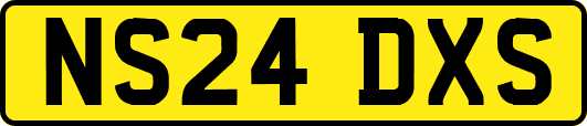 NS24DXS