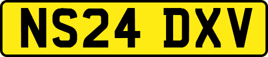 NS24DXV