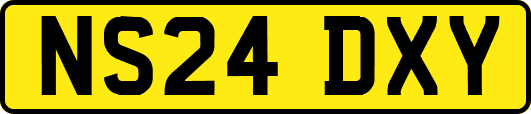 NS24DXY