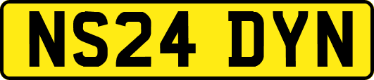 NS24DYN